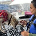 Governo Federal contribuirá com recursos no resgate e cuidado de pets no Rio Grande do Sul