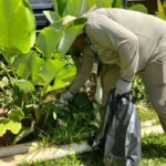 MS registra 780 casos prováveis de dengue em 2026, sem mortes confirmadas