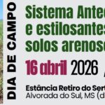 Dia de campo apresenta sistema Antecipasto e uso de estilosantes para integração em solos arenosos