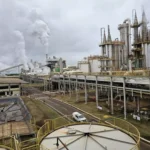 Produção de etanol cresce 29,59% e coloca MS como 3º maior produtor do País