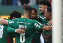 Palmeiras goleia Vasco e abre seis pontos na liderança do Brasileirão