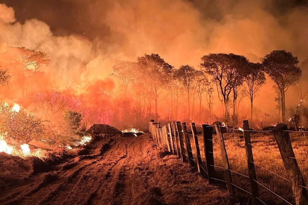 INCÊNDIO-PANTANAL
