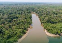 Chuvas elevam nível de rios em Mato Grosso do Sul; Rio Miranda entra em alerta e Rio Apa transborda em Bela Vista